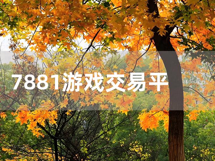 7881 游戏交易平台网 dnf 交易全攻略：轻松上手与安全保障