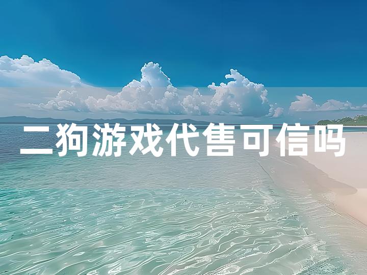 二狗游戏代售可信吗？全面解析与判断