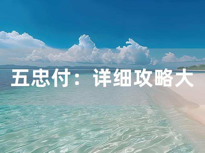 五忠付：详细攻略大揭秘 如何轻松应对？