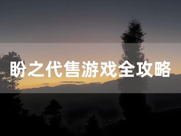 盼之代售游戏全攻略 从了解到交易的一站式指南