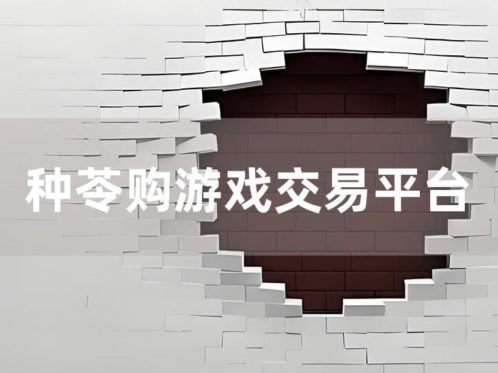 种苓购游戏交易平台全攻略 从注册到交易的详细指南